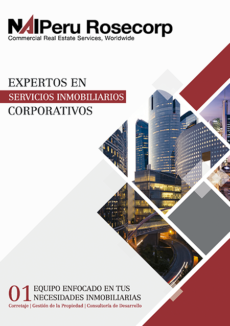 PORTADA_BROCHURE_NAIPERU_ROSECORP_.png